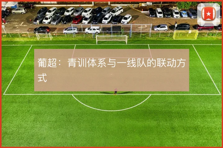 葡超:青训体系与一线队的联动方式